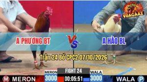 Trận 24 CPC2 07/10/2026 – Anh Hào BL Đánh Bại Anh Phương BT