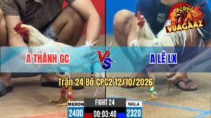 Trận 24 CPC2 Ngày 12/10/2026 trên Vua Gà AZ
