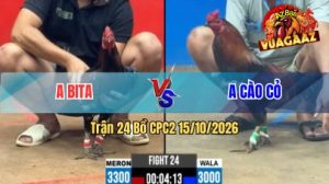Trận 24 CPC2 Ngày 15/10/2026 Trên Vua Gà AZ