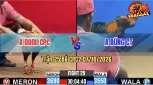 Trận 25 CPC2 07/10/2026 – Gà Anh Duol CPC Đá Canh Chặn Quá Hay