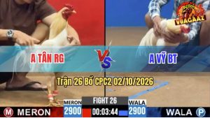 Trận 26 CPC2 02/10/2026 – Anh Tân RG Hạ Anh Vỹ Trong 1 Tay Nước