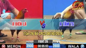 Trận 26 CPC2 08/10/2026 – Anh Tâm TG Đối Đầu Với Anh Điền LA