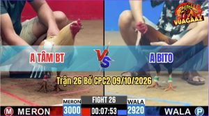 Trận 26 CPC2 09/10/2026 – Anh Tâm Bến Tre Đánh Bại Anh Bito