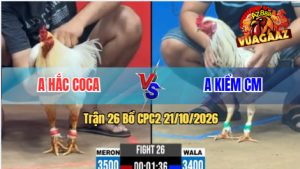 Trận 26 CPC2 21102026 – Anh Hắc Coca Đụng Độ Với Anh Kiểm CM