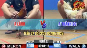 Trận 27 CPC2 02/10/2026 – Gà Bướm Anh Thành Đá Cựa Đâm Như Chỉa