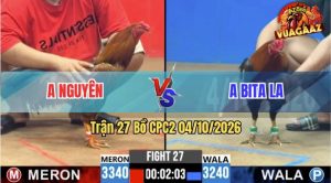 Trận 27 CPC2 04/10/2026 – Gà Anh Nguyên Đá Đâm Toàn Cựa Tich