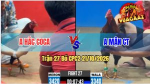 Trận 27 CPC2 21102026 – Anh Mận CT Làm Thịt Anh Hắc Coca