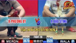 Trận 28 CPC2 07/10/2026 – Anh Bảo Sting Bị Anh Phương Làm Thịt