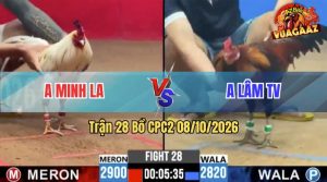 Trận 28 CPC2 08/10/2026 – Gà Má Minh Đá Ra Đòn Quá Tốc Độ
