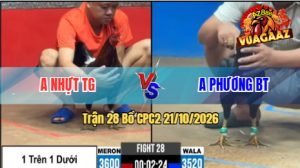 Trận 28 CPC2 21/10/2026 – Anh Nhựt Chấp Ngông Bị Anh Phương Hạ