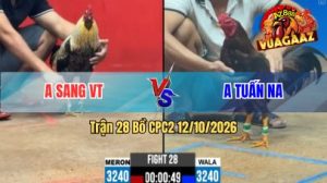 Trận 28 CPC2 Ngày 12/10/2026 trên Vua Gà AZ
