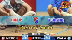 Trận 29 CPC2 02/10/2026 – Idol Bảo Sting Bị Anh Đạt Lụm Gọn