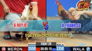 Trận 29 CPC2 03/10/2026 – Gà Anh Thành SG Tránh Né Quá Khéo