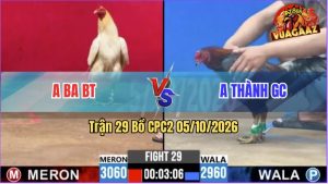 Trận 29 CPC2 05/10/2026 – Anh Ba BT Đánh Bại Anh Thành GC