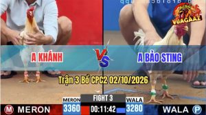 Trận 3 CPC2 02/10/2026 – Idol Bảo Sting Phản 1 Chân Cựa Quá Hay