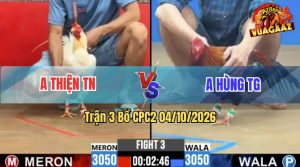 Trận 3 CPC2 04/10/2026 – Gà Bướm Anh Thiện Nhấc Chân Là Có Cựa