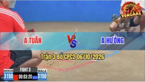 Trận 3 CPC2 06/10/2026 – Gà Cọp Anh Tuân Đá Đúng 1 Tay Nước
