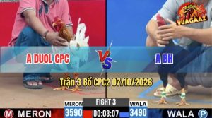 Trận 3 CPC2 07/10/2026 – Gà Anh Duol CPC Bình Tĩnh Hạ Đối Thủ