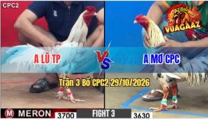 Trận 3 CPC2 29/10/2026 – Anh Lũ Siết 1 Hơi Hạ Anh Mơ Campuchia