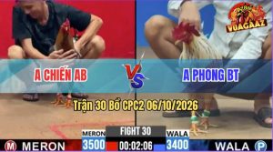 Trận 30 CPC2 06/10/2026 – Gà Anh Chiến Đá Đúng 3 Chân Cựa