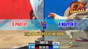 Trận 30 CPC2 Ngày 12/10/2026 trên Vua Gà AZ