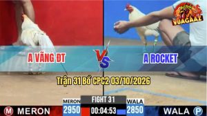 Trận 31 CPC2 03/10/2026 – Gà Anh Rocket Canh Chặn Quá Hay