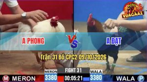 Trận 31 CPC2 09/10/2026 – Anh Đạt Đánh Bại Anh Phong Nhanh Gọn