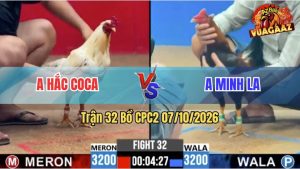 Trận 32 CPC2 07/10/2026 – Anh Hắc Coca Đối Đầu Với Anh Minh LA