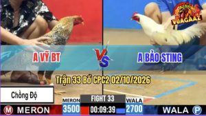 Trận 33 CPC2 02/10/2026 – Idol Bảo Sting Chấp Quá Ngông Và Cái Kết