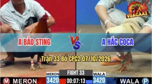Trận 33 CPC2 07/10/2026 – Anh Bảo Sting Bị Anh Hắc Coca Phục Thù