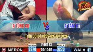 Trận 33 CPC2 09/10/2026 – Anh Tâm Đưa Chiến Kê Quá Lì Đòn Vào Sân