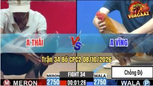 Trận 34 CPC2 08/10/2026 – Anh Vĩnh Chồng Độ Gặp Phải Hàng Hiệu