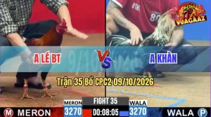Trận 35 CPC2 09/10/2026 – Gà Anh Lé BT Đá Chân Nào Cũng Dính Cựa