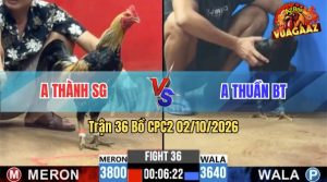 Trận 36 CPC2 02/10/2026 – Gà Chuối Anh Thành Nhấc Chân Là Có Cựa
