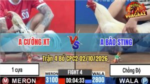 Trận 4 CPC2 02/10/2026 – Gà Úa Anh Bảo Sting Chồng Độ Ăn Đẳng Cấp