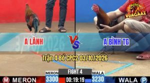 Trận 4 CPC2 03/10/2026 – Gà Anh Lành Nhấp Mấy Chân Lụm Tiền