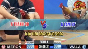 Trận 4 CPC2 04/10/2026 – Gà Anh Lam Đá Canh Chặn Quá Hay