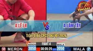 Trận 4 CPC2 06/10/2026 – Anh Lâm Tây Đánh Bại Anh Lê Long Xuyên