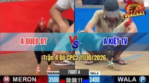 Trận 4 CPC2 Ngày 11/10/2026 Vua Gà AZ