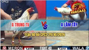 Trận 40 CPC2 29/10/2026 – Anh Trung TV Siết 1 Hơi Lụm Tiền