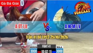 Trận 41 CPC2 25/10/2026 – Anh Út LX Đánh Bại Anh Nem VL