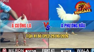 Trận 41 CPC2 29/10/2026 – Anh Cường Long An Gặp Anh Phương Râu
