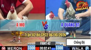 Trận 42 CPC2 06/10/2026 – Anh Mo Đánh Bại Anh Quang BT