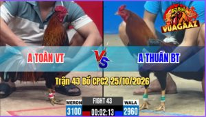 Trận 43 CPC2 25/10/2026 – Anh Toàn Hạ Anh Thuần Nhanh Gọn