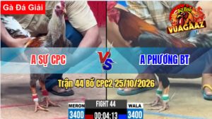Trận 44 CPC2 25/10/2026 – Anh Phương BT Làm Thịt Anh Sự CPC