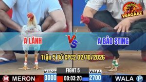 Trận 5 CPC2 02/10/2026 – Anh Bảo Sting Chấp Anh Lành Tận 3 Chấm