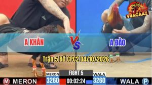 Trận 5 CPC2 04/10/2026 – Anh Đào Làm Thịt Anh Khàn Nhanh Gọn