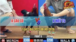 Trận 5 CPC2 08/10/2026 – Anh Cào Cỏ Đánh Bại Anh Hiếu TG