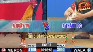 Trận 5 CPC2 09/10/2026 – Anh Thành Đánh Bại Anh Quậy Dễ Dàng