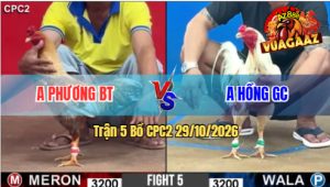 Trận 5 CPC2 29/10/2026 – Anh Hồng GC Làm Thịt Anh Phương BT